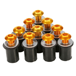 Racecraft Screen Screws Gold 10pc